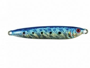 BLUE SARDINE