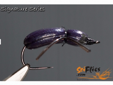 SCIENTIFIC FLY GOOD DR`s BEETLE PURPLE