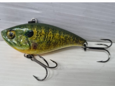 SUNFISH