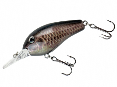 CARP