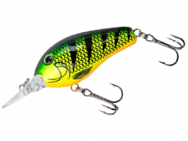 BLACK CHARTREUSE