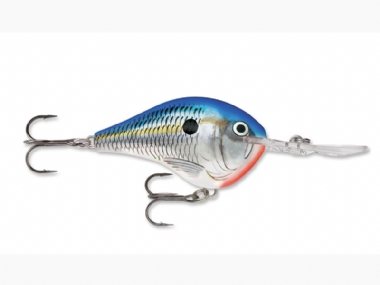 BLUE SHAD