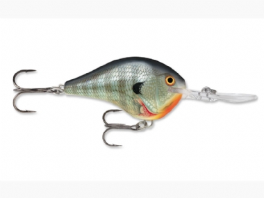 BLUEGILL