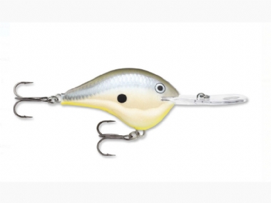 DISCO SHAD