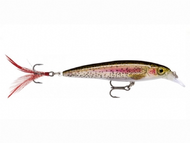 LIVE TROUT