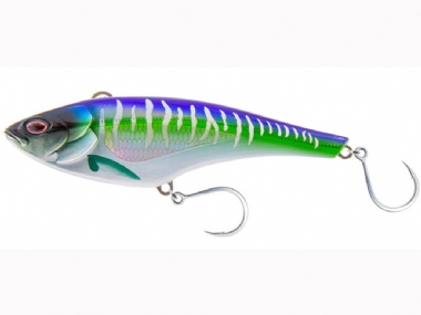 SPANISH MACKEREL