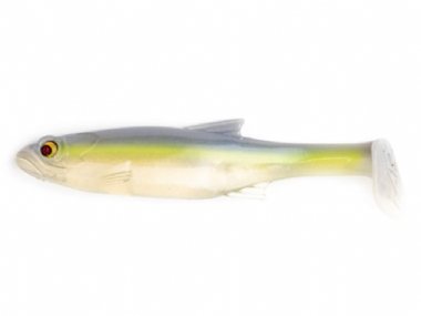 BLUEBACK HERRING
