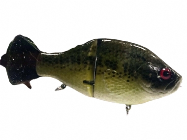 BABY BASS
