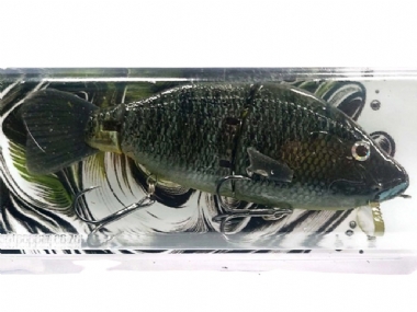 CUSTOM VLEI