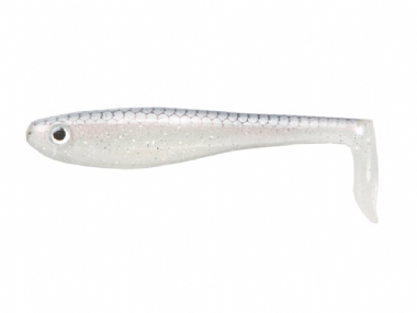 TENNESSEE SHAD