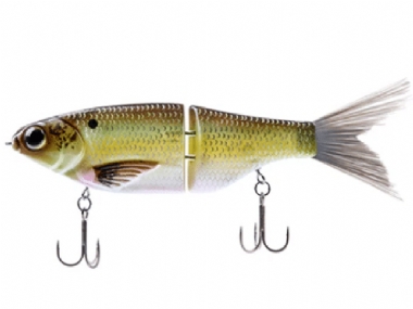 GRAND SHAD