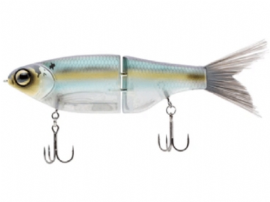 GIZZARD SHAD