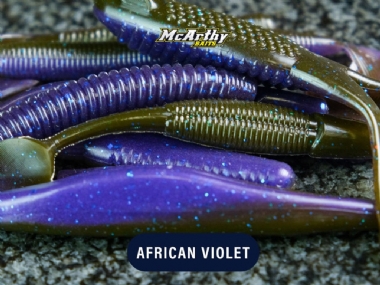 AFRICAN VIOLET