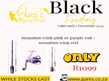 SENSATION WING PINK OR PURPLE ROD WITH SENSATION WING REEL