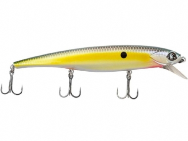 SEXY SHAD