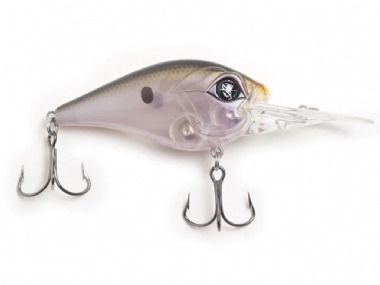 NATIVE SHAD