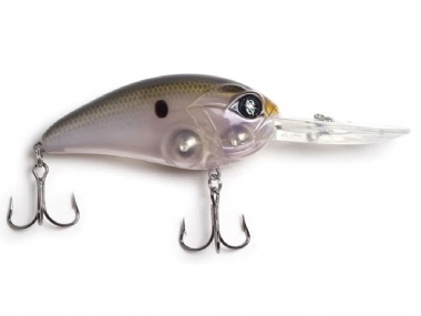 NATIVE SHAD