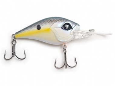 SEXY SHAD