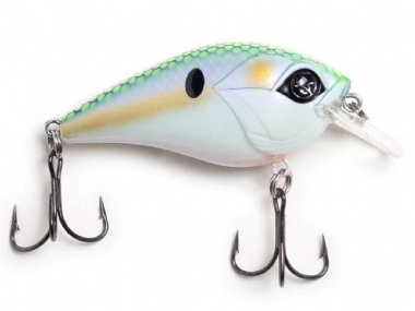 MONDO SHAD