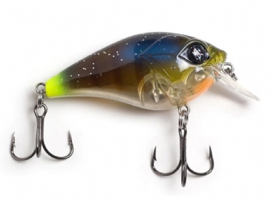GHOST GILL