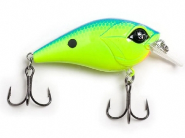 CHARTREUSE BLUE BACK