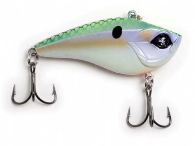 MONDO SHAD