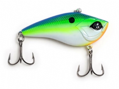 CITRUS SHAD