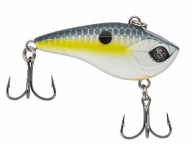 SEXY SHAD