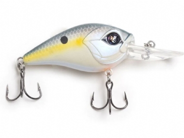 SEXY SHAD
