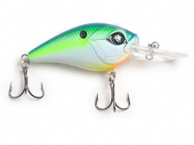 CITRUS SHAD