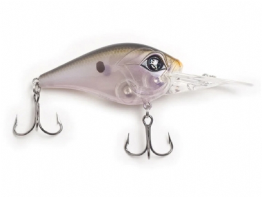 NATIVE SHAD