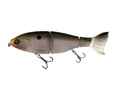 GIZZARD SHAD
