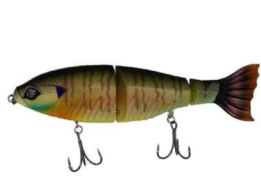 BLUE GILL