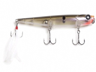 NATIVE SHAD