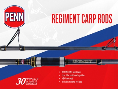 PENN REGIMENT CARP