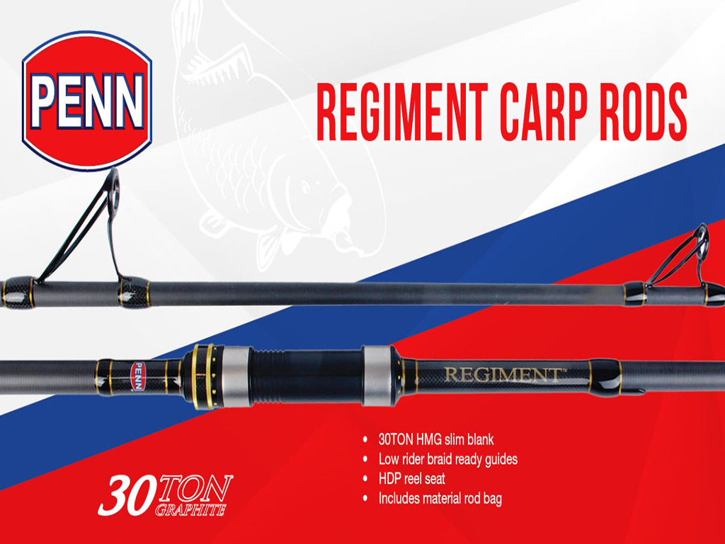 PENN REGIMENT CARP