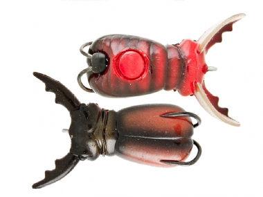 STAG BEETLE
