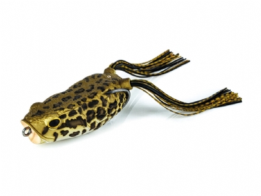 NORTHERN SNAKEHEAD