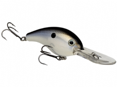GIZZARD SHAD