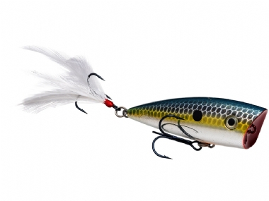 CHROME SEXY SHAD