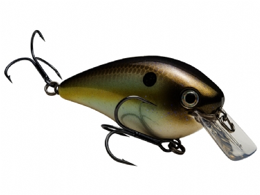 SUMMER SEXY SHAD