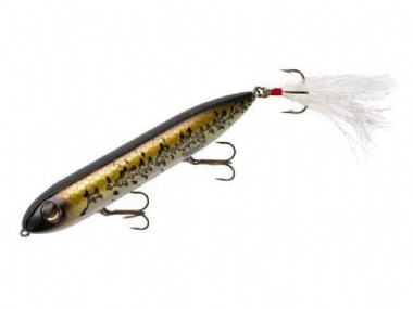 BABY BASS