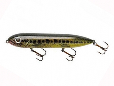 FLORIDA BASS