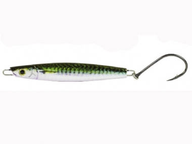 GREEN MACKEREL