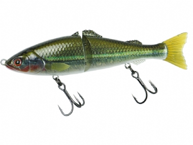 BASS HOLOGRAM