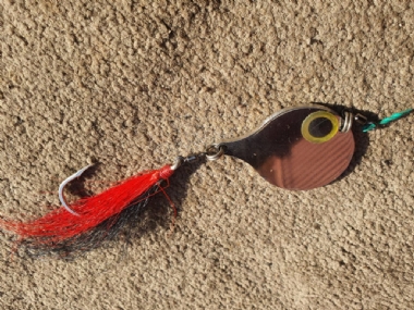 GLADIATOR NEMO