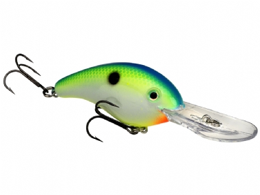 CITRUS SHAD