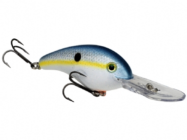 SEXY SHAD