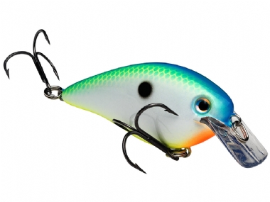 STRIKE KING KVD 1.5 SQUAREBILL CRANKBAIT