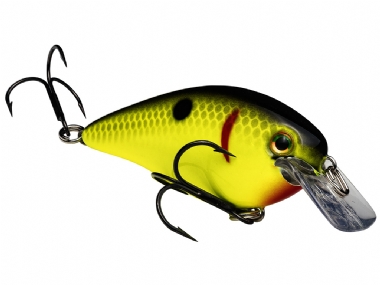 CHARTREUSE WITH BLACK BACK